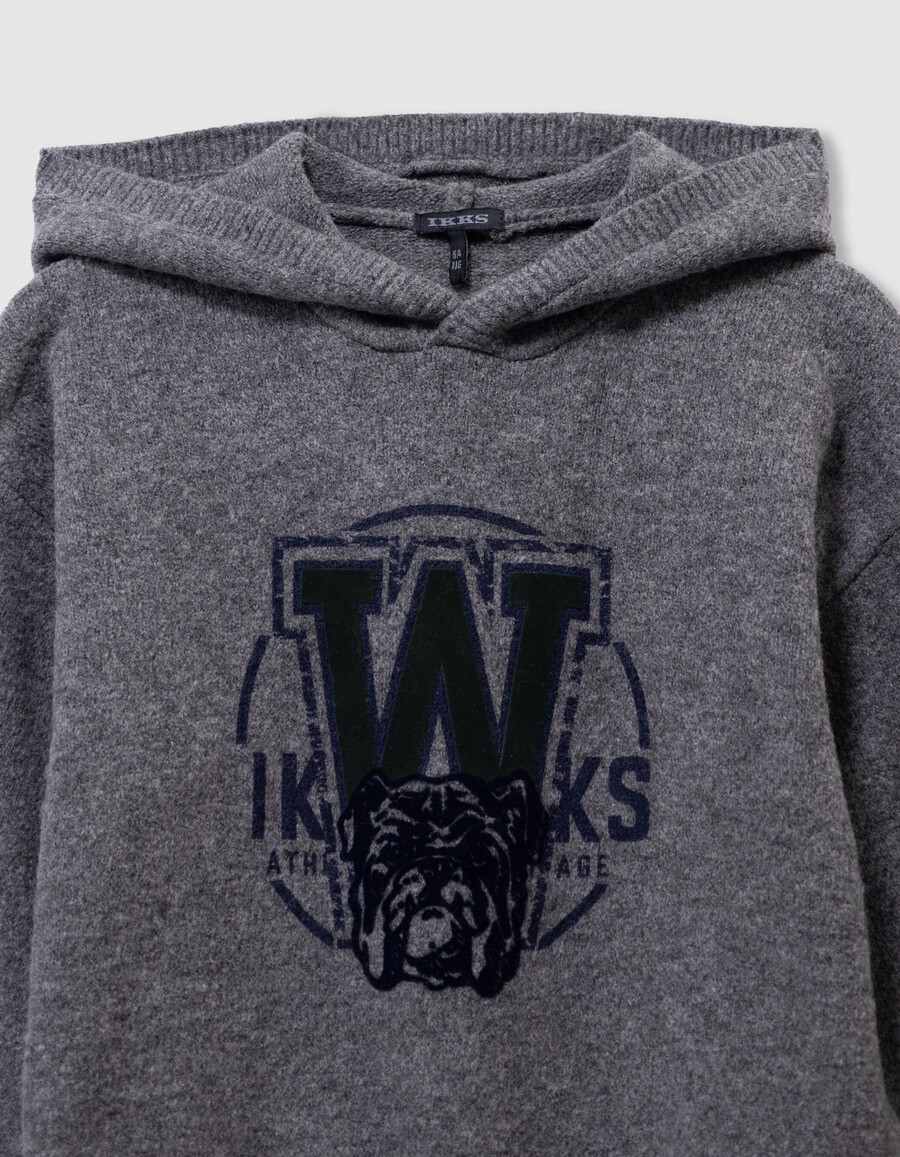grauer strickhoodie für jungen mit hundemotiv